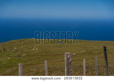 Coastline In Akaroa New Zealand, Amazing View From The Lookout Of Akaroa, Above The Beautiful Mounta