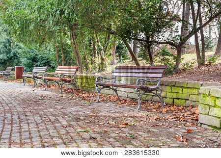 Park Bench, Three Old Wooden Benches In The Park With Paved Pavement And Green Trees Above Selective
