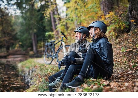 A Senior Couple With Electrobikes Sitting Outdoors In Park In Autumn, Resting.