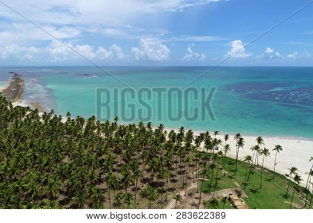 Aerial View Of Carneiros Beach, Tamandaré, Pernambuco, Brazil. Great Beach Scene. Beautiful Landscap