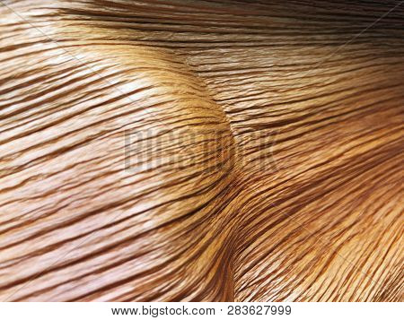 The Structure Of Piece Of Wood. Shot From Close View.