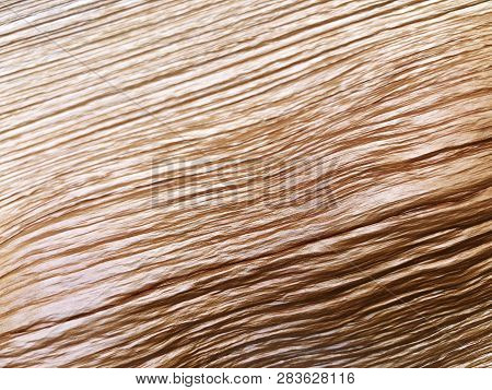 The Structure Of Piece Of Wood. Shot From Close View.
