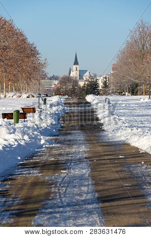 Trees In Beautiful Romantic Winter Alley Covered With Snow With Sidewalk In The Middle, Church In Ba