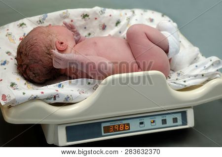 The Process Of Weighing The Newborn On The Scales. Electronic Baby Scales For A Newborn. The First M