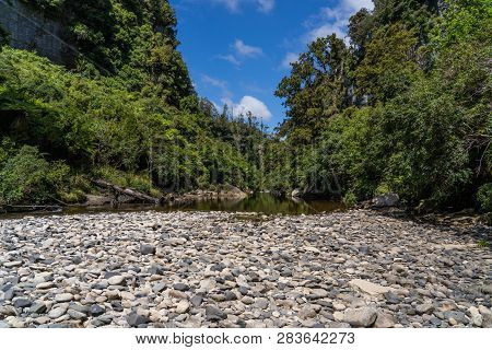 Pororari River Track, Landscape On The Pororari River Track, New Zealand, South Island, Wild New Zea