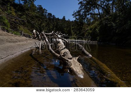 Pororari River Track, Landscape On The Pororari River Track, New Zealand, South Island, Wild New Zea