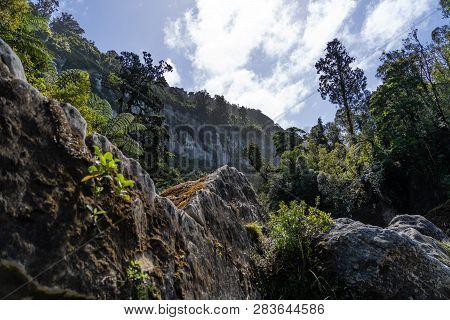 Pororari River Track, Landscape On The Pororari River Track, New Zealand, South Island, Wild New Zea