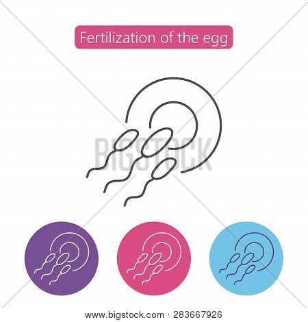 Sperm Fertilizing Egg Cell For Pregnancy Collection On White Background. Pregnancy Symbol Stock Vect