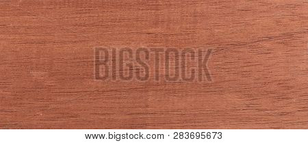 Wood Background - Wood From The Tropical Rainforest - Suriname - Carapa Guianensis Aubl