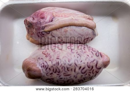A Pair Of Bull Testicles On A White Plastic Tray. The Outer Surface Of Shell Bull Testicles.