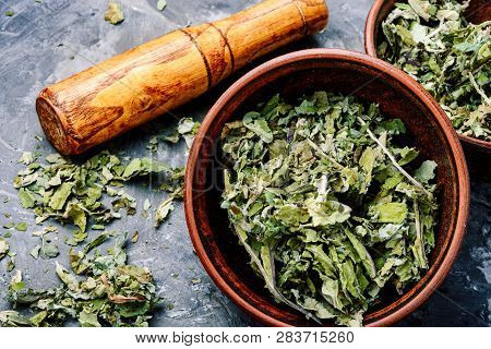 Healing Dry Foliage Coltsfoot