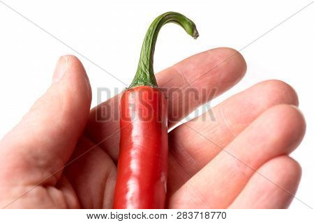 Causasian Hand Holding Chili Pepper Isolated On White Background