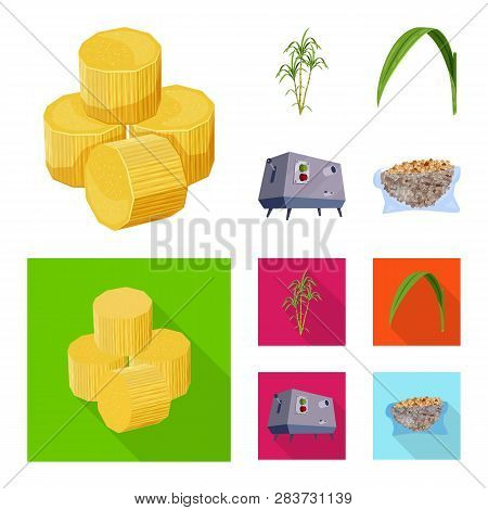 Vector Illustration Of Farm And Agriculture  Logo. Set Of Farm And Technology Vector Icon For Stock.
