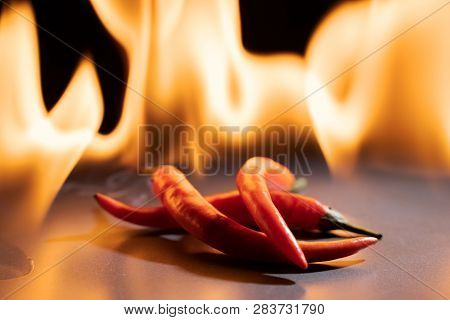 Red Chili Peppers. Sharp Red Siliculose Pepper Against A Flame.