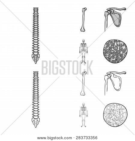 Vector Design Of Medicine And Clinic Logo. Set Of Medicine And Medical Stock Vector Illustration.
