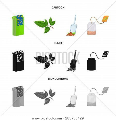 Vector Design Of Healthy And Floral  Logo. Collection Of Healthy And Gradient Vector Icon For Stock.