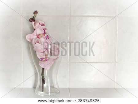 Plastic Orchids In The Bathroom With The White Tile Background. Faux Flowers Bathroom Decor.