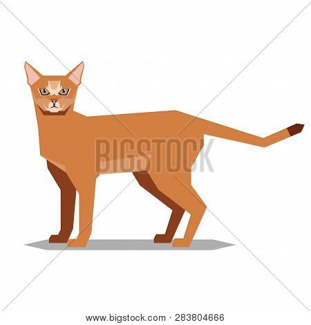 Polygonal Abissinian Cat On The White Background