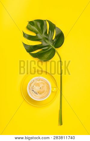 Creative Flat Lay With Cup Of Coffee And Tropical Plant