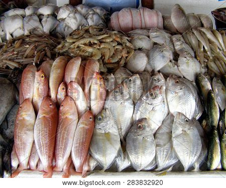Fresh Caught Seafood At The Fish Market. Close Up Fish. Shrimp And Different Fish