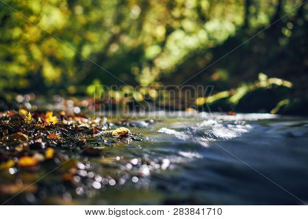 Long Exposure Of A River Creek With A Small Waterfall. Sunset And Strong Detail Bokeh View. Blue Cal