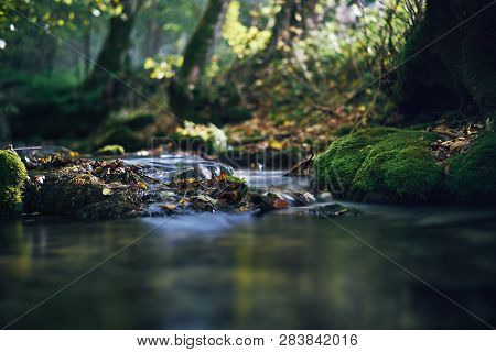 Long Exposure Of A River Creek With A Small Waterfall. Sunset And Strong Detail Bokeh View. Blue Cal