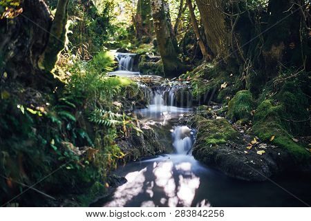 Long Exposure Of A River Creek With A Small Waterfall. Sunset And Strong Detail Bokeh View. Blue Cal