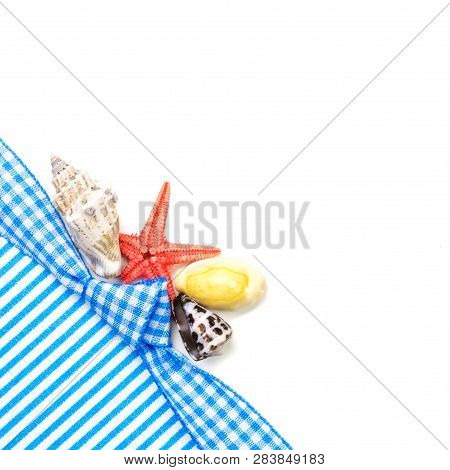 Holiday Gift Card With Blue Bow And Ribbon In The Middle Of Decoration With  Sea Shells On White Bac