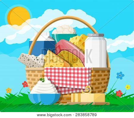 Dairy Products Set In Basket. Collection Of Milk Food. Milk, Cheese, Butter, Sour Cream, Cottage, Cr