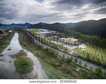 Aerial View Of Metasequoia Road, Damyang, Jeollanamdo, South Korea, Asia