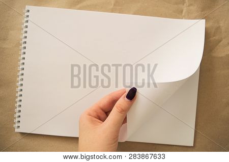 Female Hand With A Manicure Turns A White Album That Lies On The Table