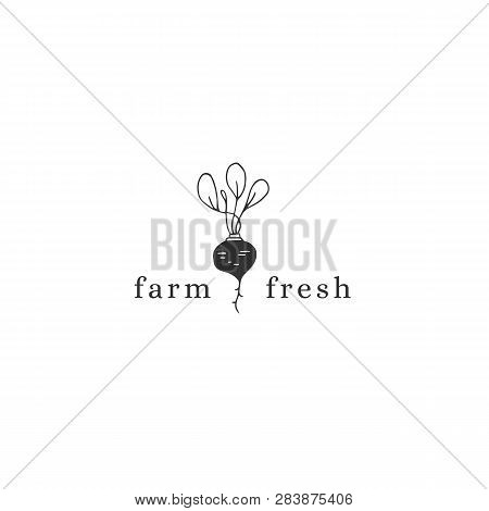 Vector Hand Drawn Logo Template, Beet. Farm And Organic Food Theme. Isolated Symbol For Business Bra
