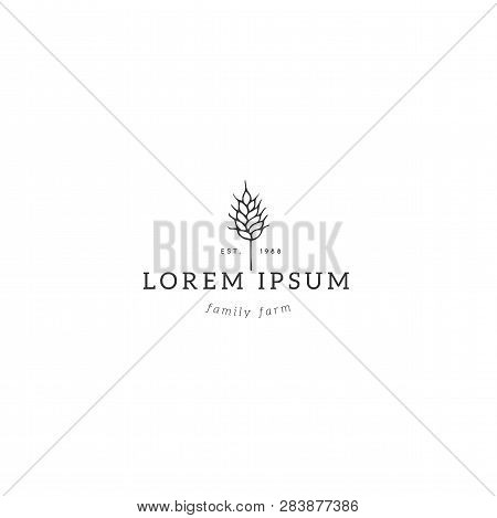 Vector Object, A Wheat Spike. Hand Drawn Premade Logo Template. Isolated Symbol For Farmers Markets,