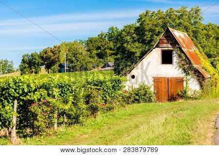 vineyard, Jurancon, France