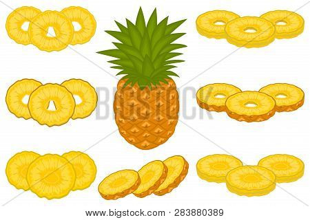 Illustration On Theme Big Set Different Types Yellow Tropical Pineapple, Green Stem Various Size. Pi