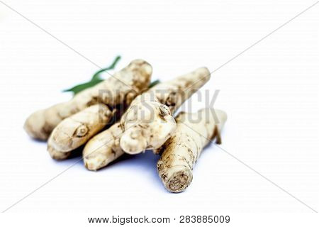 Close Up Of Popular Indian & Asian Raw Organic Herb Or Ayurvedic Herb Isolated On White I.e. Amba Ha