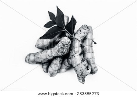 Close Up Of Popular Indian & Asian Raw Organic Herb Or Ayurvedic Herb Isolated On White I.e. Amba Ha