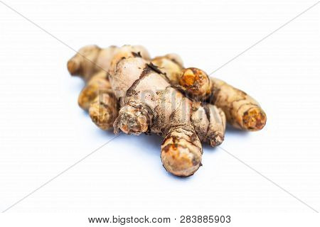 Close Up Of Popular Indian & Asian Raw Organic Herb Or Ayurvedic Herb Isolated On White I.e. Amba Ha