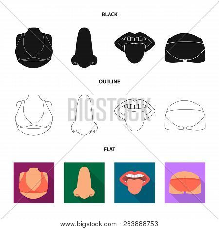 Vector Design Of Body And Part Symbol. Collection Of Body And Anatomy Vector Icon For Stock.