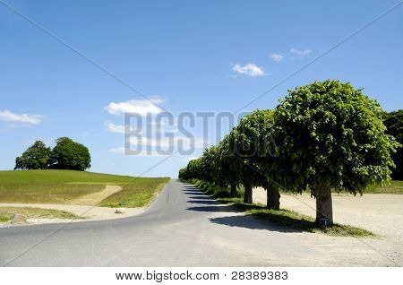 Road at the contryside with blu and cloudy sky.