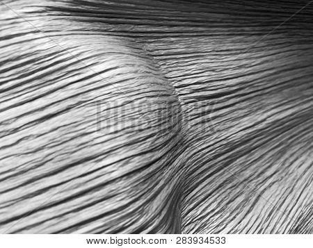 The Structure Of Piece Of Wood. Shot From Close View.