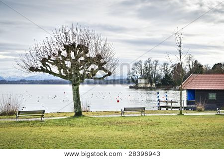Obraz jezera Starnberg v Bavorsku Německo - Tutzing