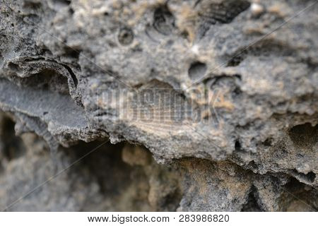 Shells And Other Fossils Were Used As Building Material In Ancient Greece