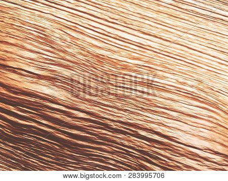 The Structure Of Piece Of Wood. Shot From Close View.