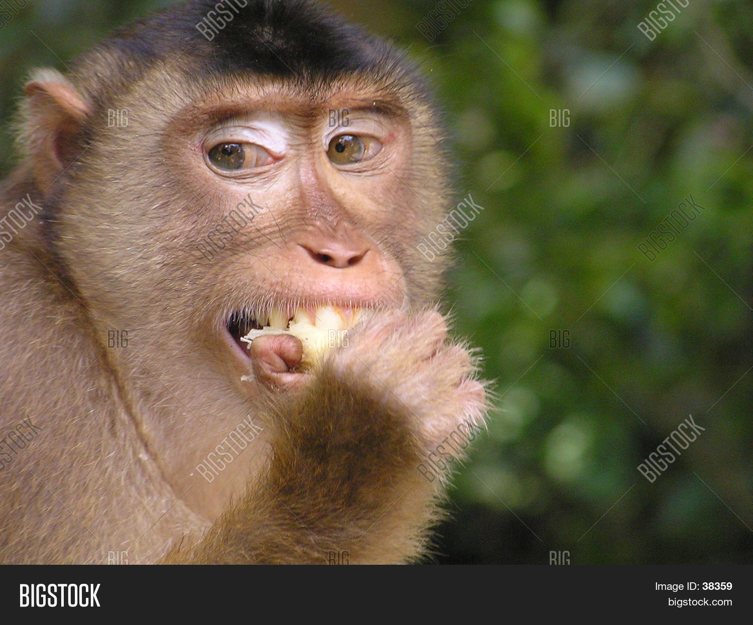Image Preview
