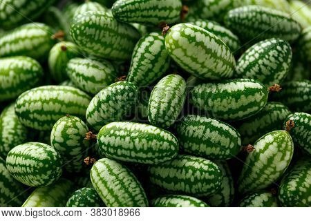 Freshly Picked Cucamelon In White Bowl. Vegetable Healthy Food