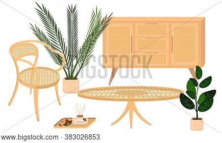 Vector Set Of Country Rattan Furniture With Plants Contains A Chair, A Coffee Table, A Cupboard And 