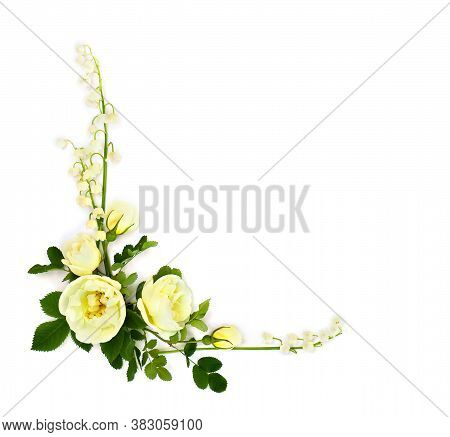 Frame Of White Roses (burnet Double White, Shrub Rose) And Lily Of The Valley (convallaria Majalis) 
