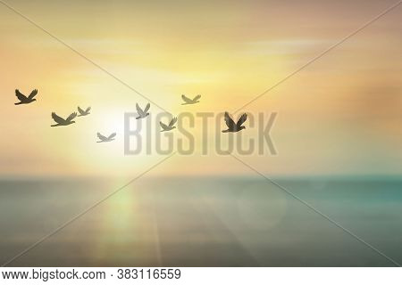 Forest Sunrise Misty Foggy Nature Background. Nature Rain Forest River, Green Forest Stream. Natural