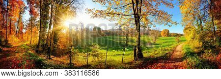 Forest Sunrise Misty Foggy Nature Background. Nature Rain Forest River, Green Forest Stream. Natural